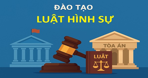 Đào tạo Luật Hình sự V0301